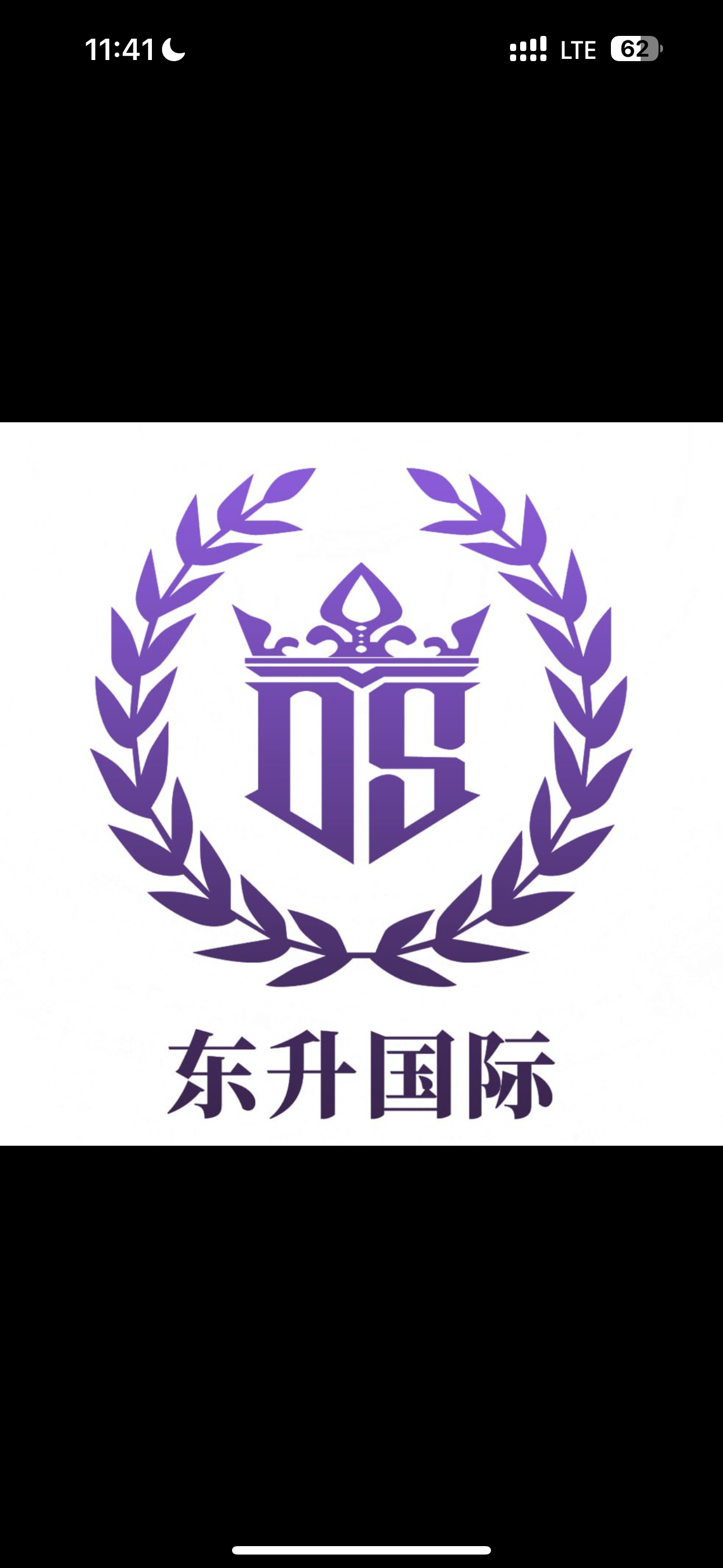 东升国际